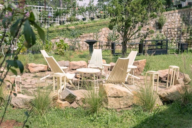 pexels-peterdanthy-32500243